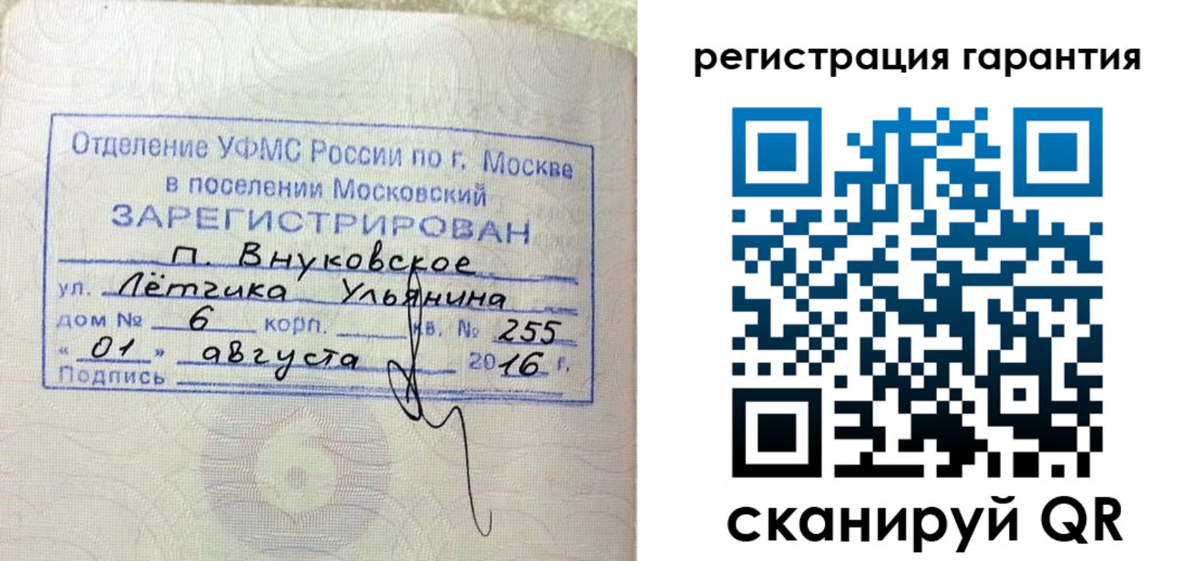 прописка штамп в Мончегорске