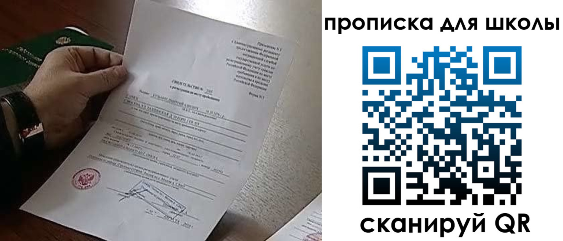 прописка ребенка в Мончегорске